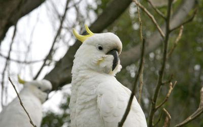 Great Otway National Park